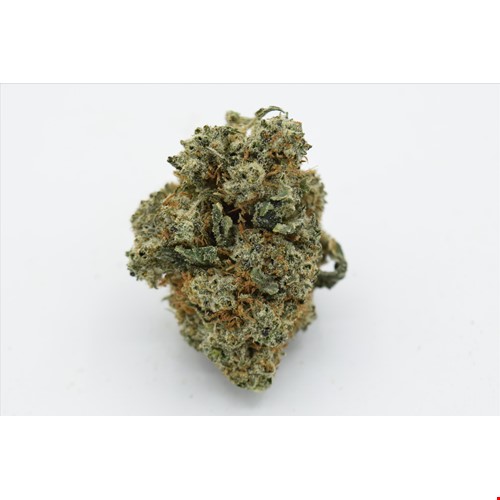 Pineapple Cookies (Hybrid) - SALE 1 OZ $55